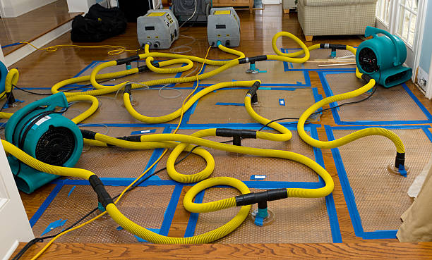 Professional Crawl Space Water Removal technician working in Cougar, WA